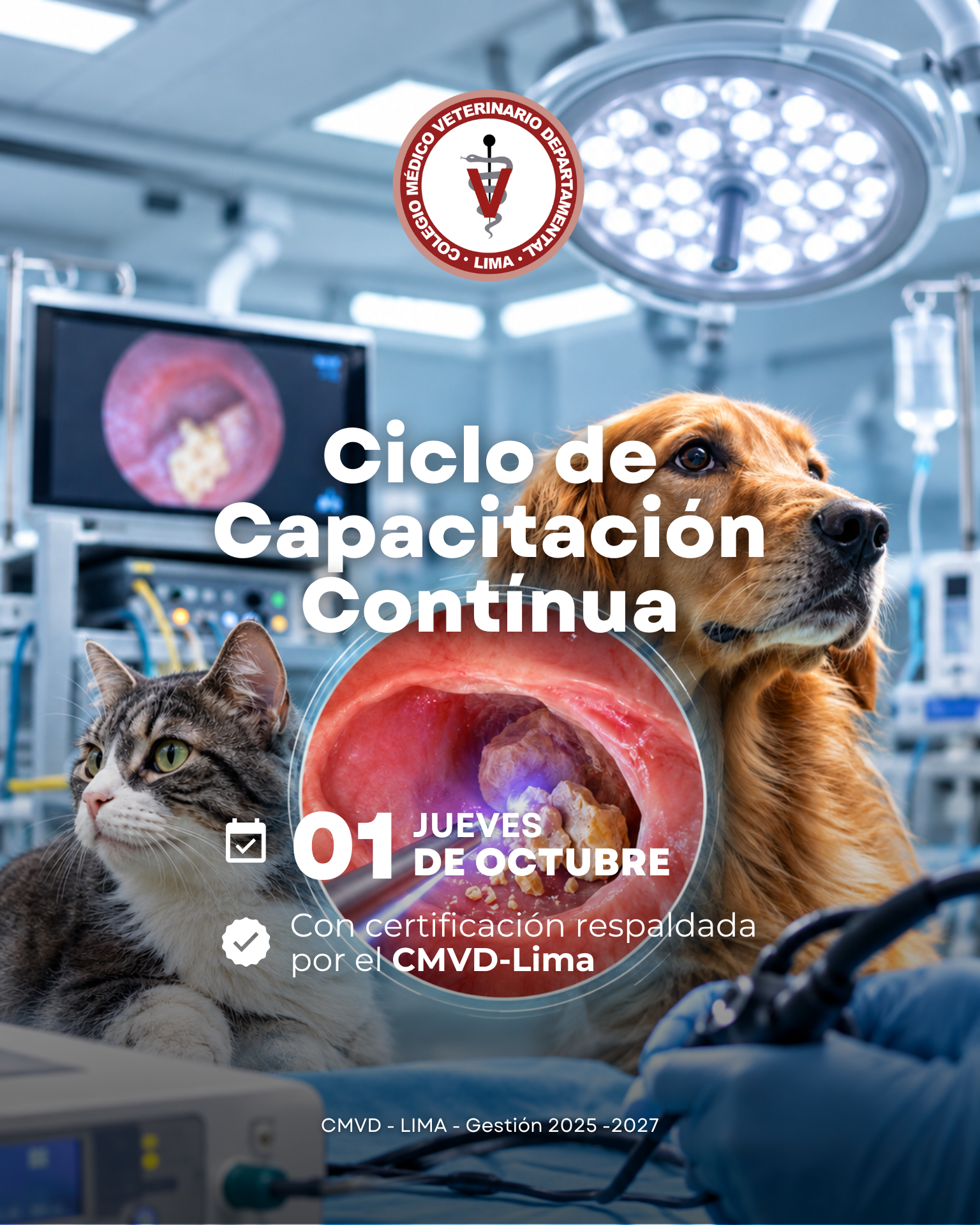 Jueves de Capacitación: Cirugía y Nuevas Alternativas Terapéuticas en Pequeños Animales