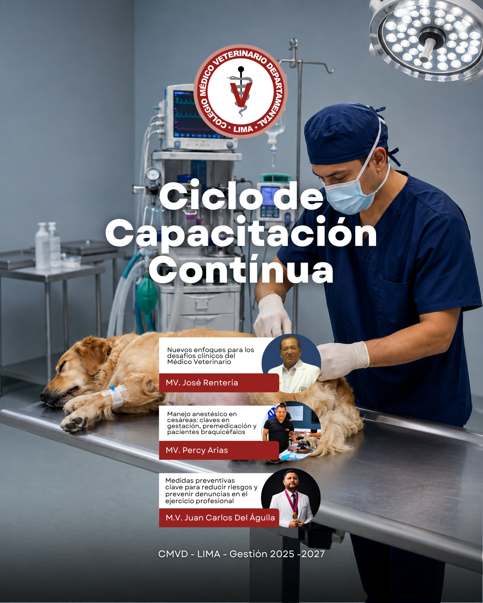 Jornada de Capacitación Profesional en Huacho