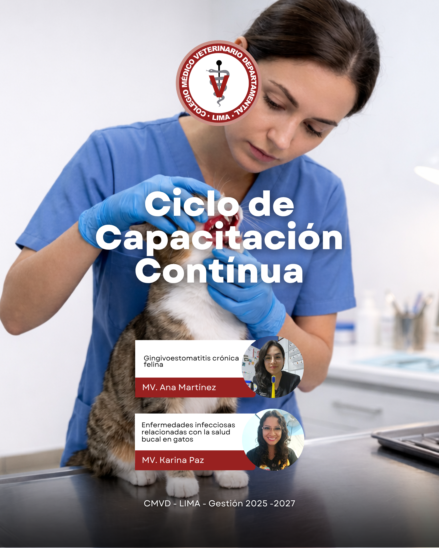 Dolor silencioso: lo que todo médico veterinario debe saber