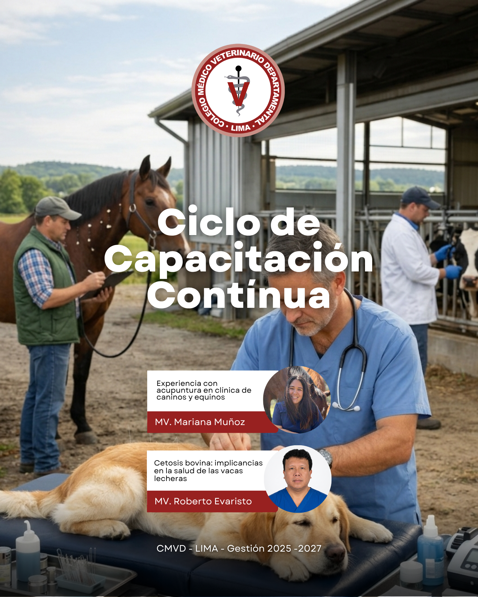 Nuevas perspectivas en medicina veterinaria: salud bovina y acupuntura
