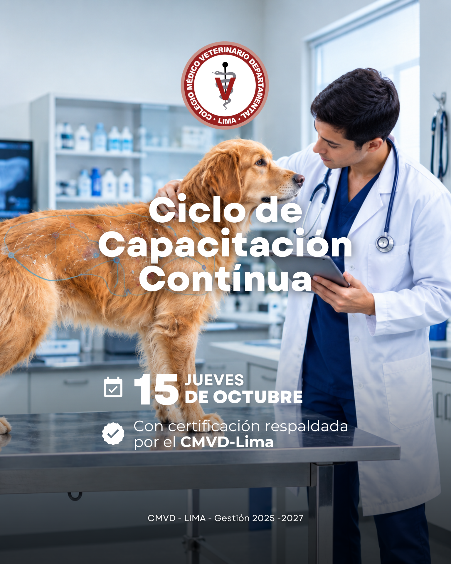 Ciclo de Capacitación: Cirugía Mínimamente Invasiva, Dermatología y Ejercicio Profesional