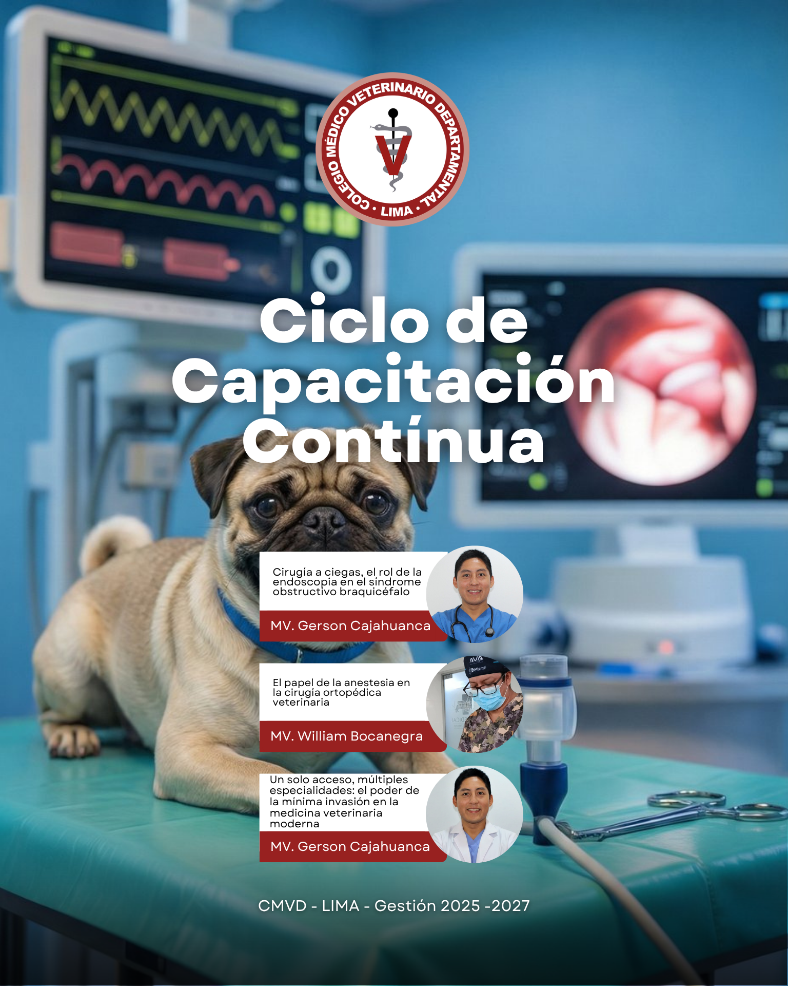 Cirugía mínimamente invasiva y anestesia veterinaria