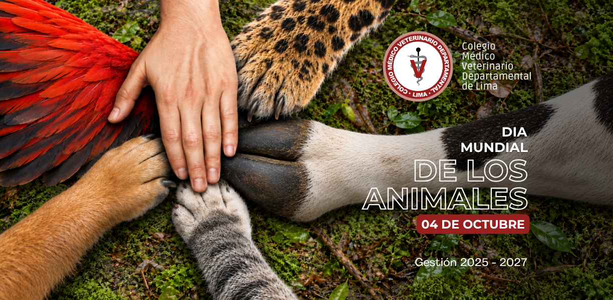 ¡Feliz Día Mundial de los Animales!