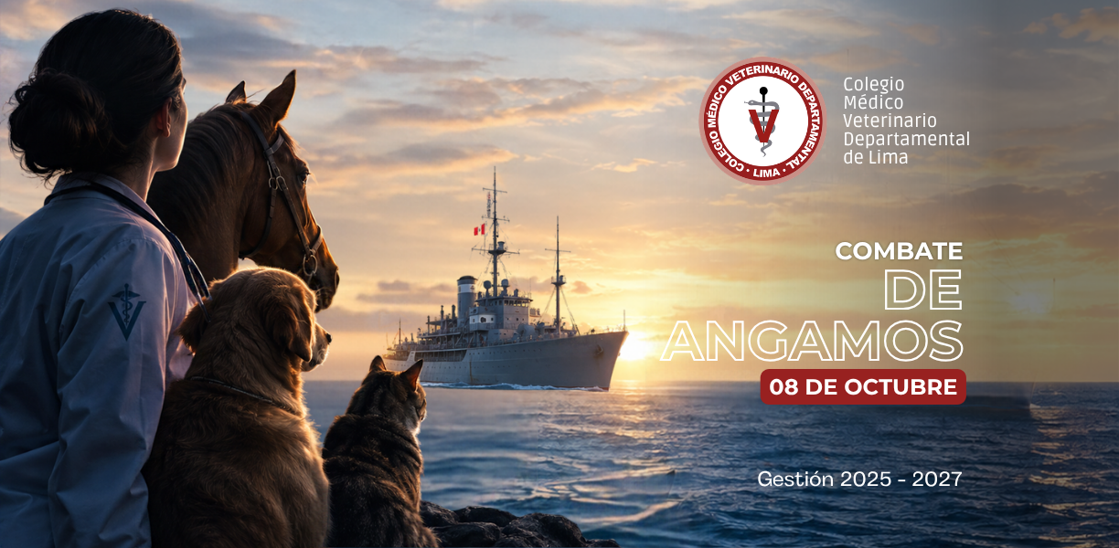 147.° Aniversario del Combate Naval de Angamos y saludo a la Marina de Guerra del Perú