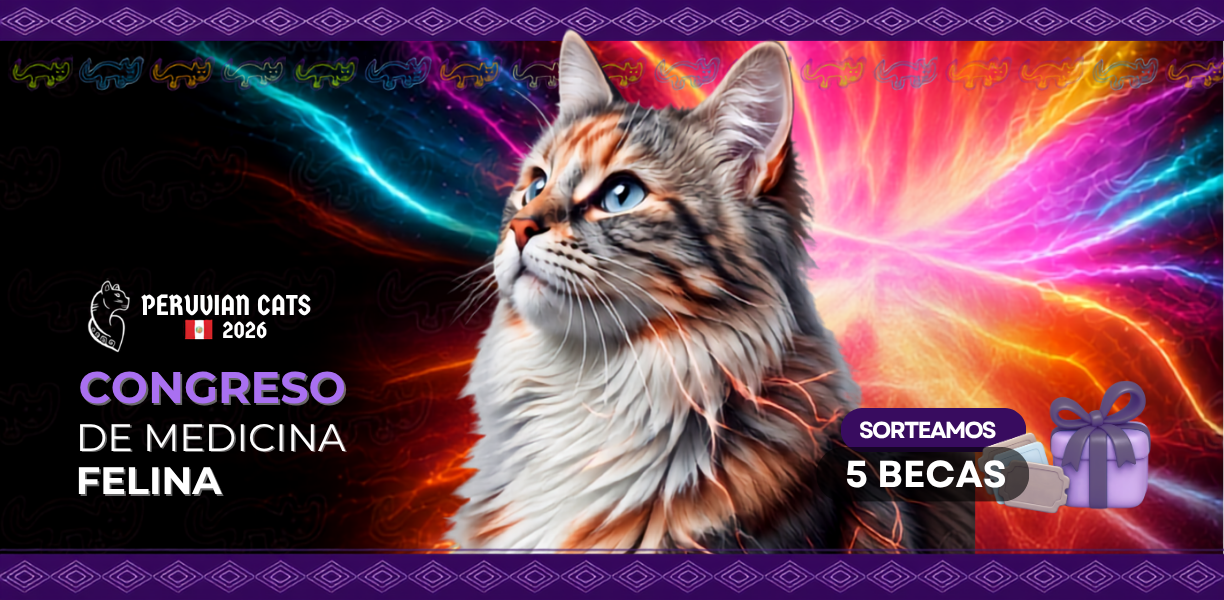 Gana una de las 5 becas para participar en Peruvian Cats 2026