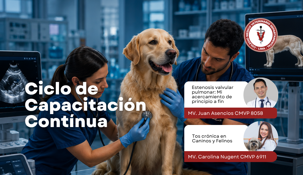 Evaluar para tratar: cardiología y medicina respiratoria en animales domésticos de compañía